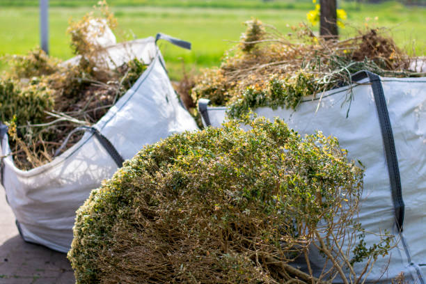 Best Attic Cleanout Services  in Glenwood, GA